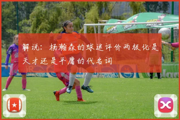 解说：杨瀚森的球迷评价两极化是天才还是平庸的代名词
