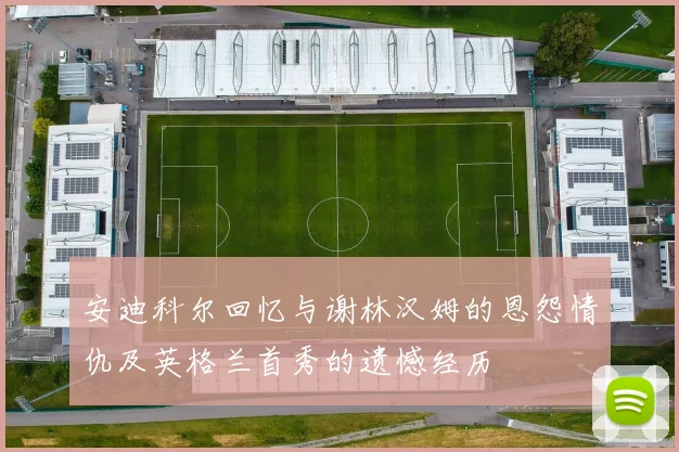 安迪科尔回忆与谢林汉姆的恩怨情仇及英格兰首秀的遗憾经历